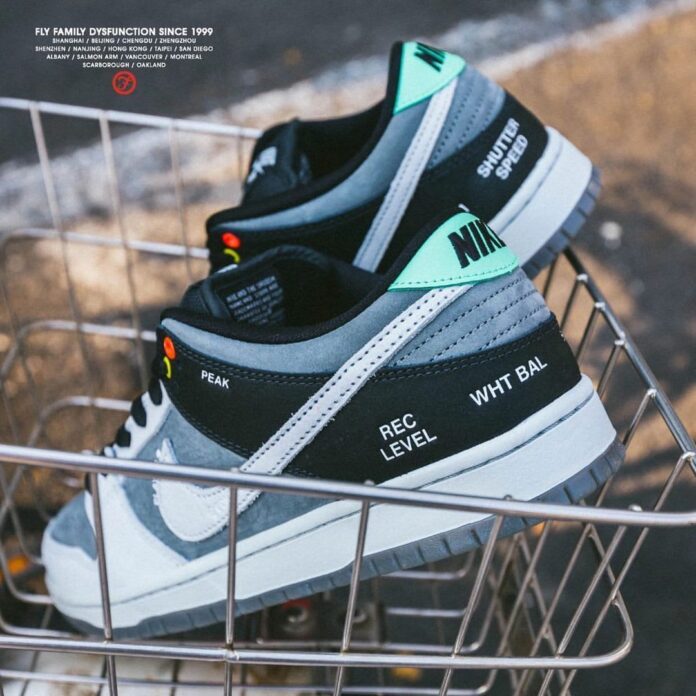 vx1000 dunk low