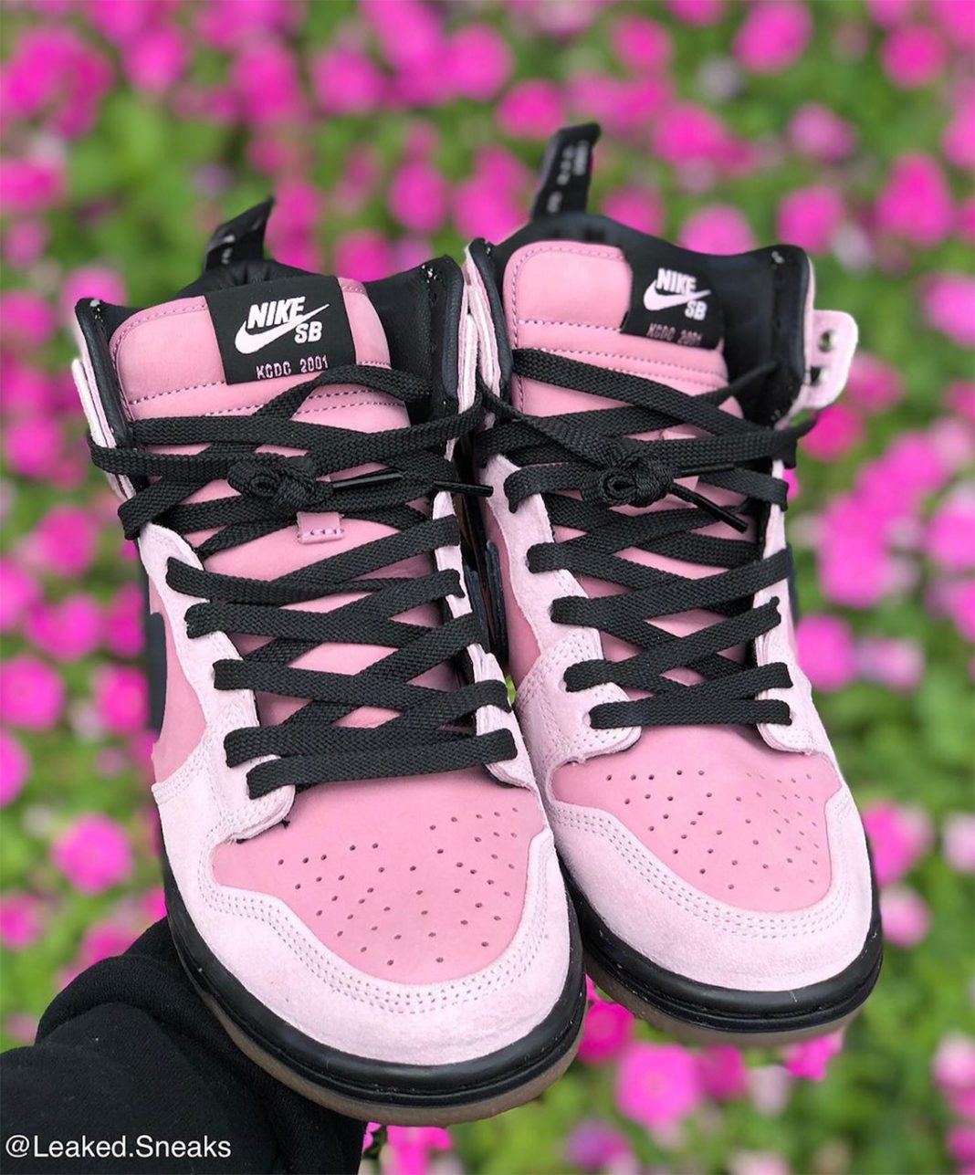 nike sb dunk kcdc