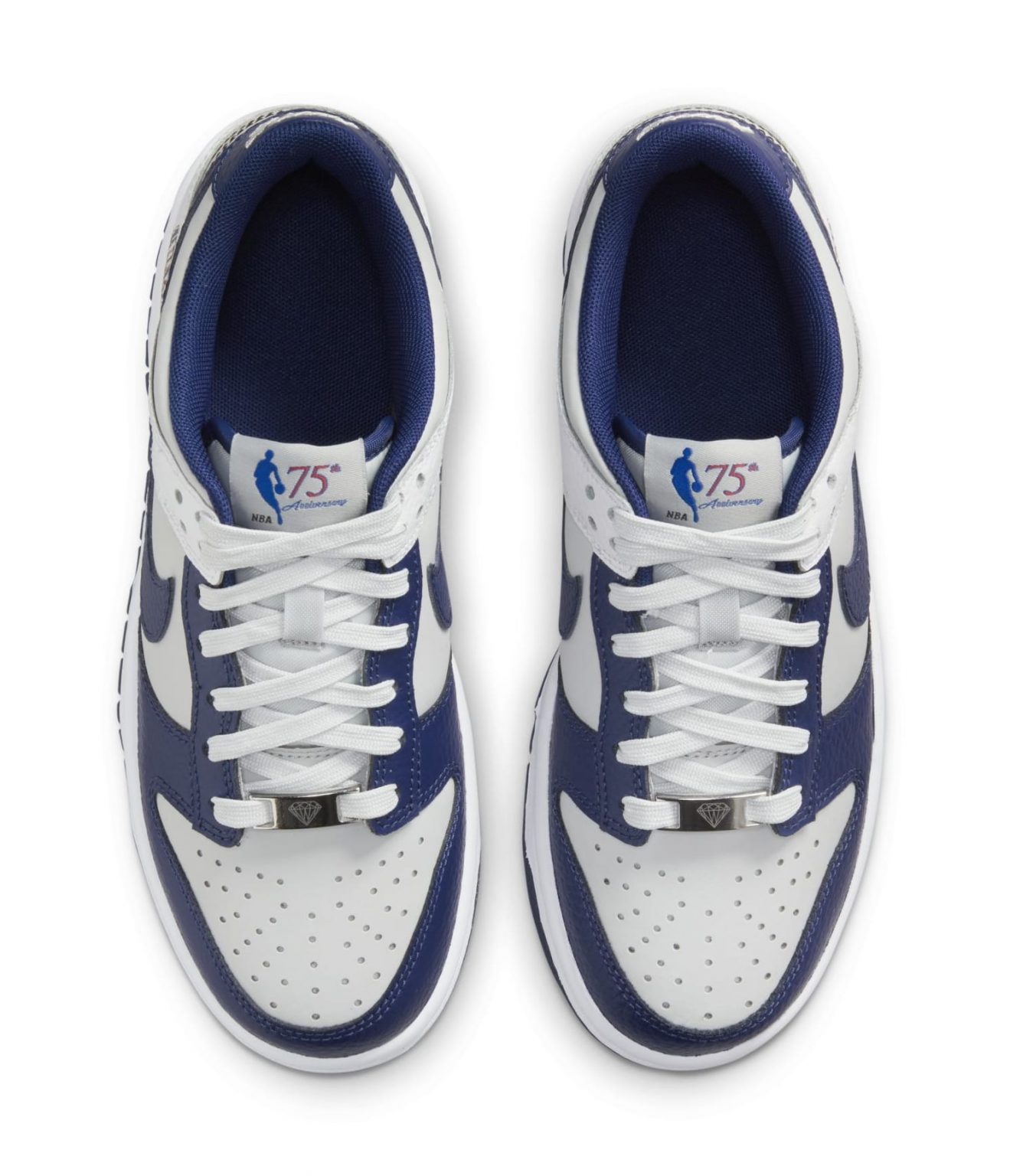 nets nike dunk low