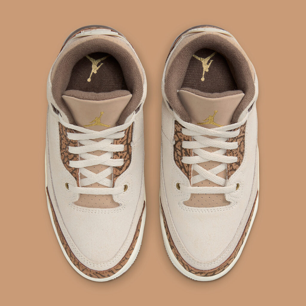 air-jordan-3-ps-palomino-DM0966-102-3