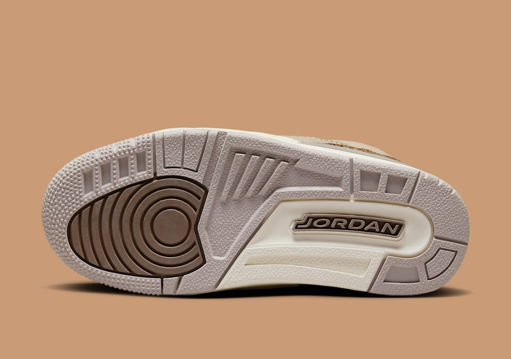 air-jordan-3-ps-palomino-DM0966-102-5