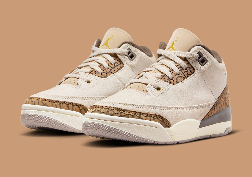 air-jordan-3-ps-palomino-DM0966-102-7