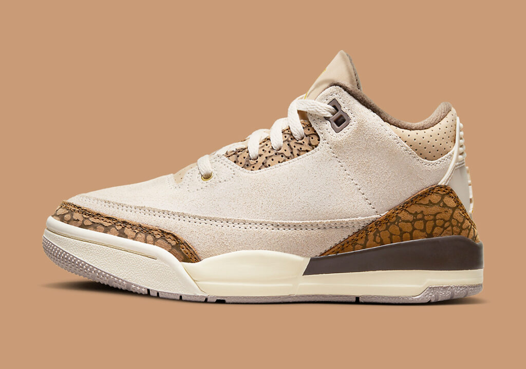 air-jordan-3-ps-palomino-DM0966-102-8