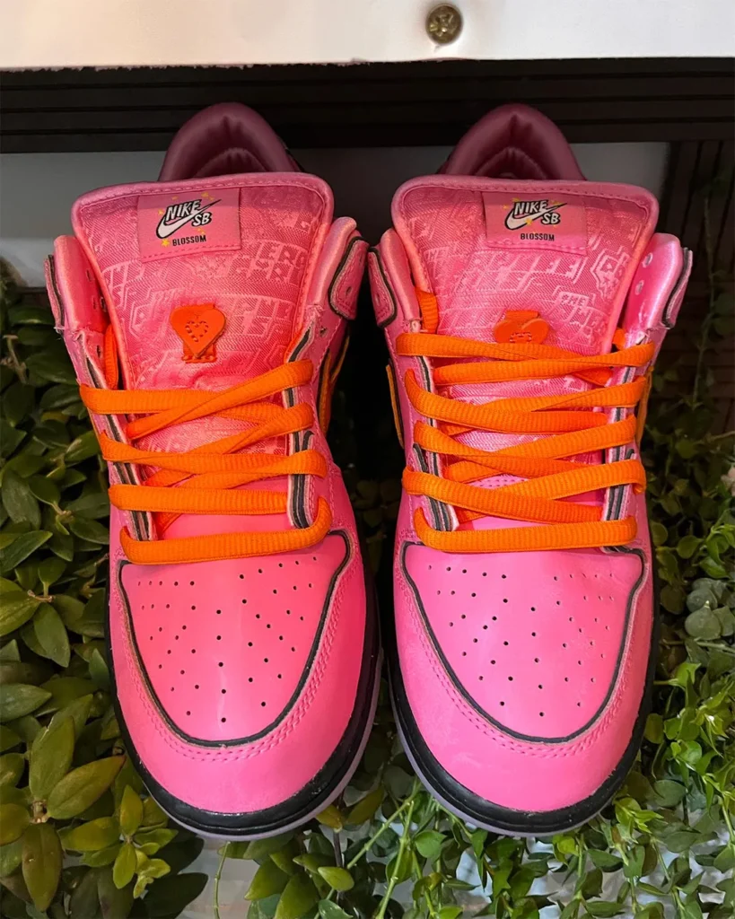 le-superchicche-blossom-nike-sb-dunk-low-fd2631-600-5