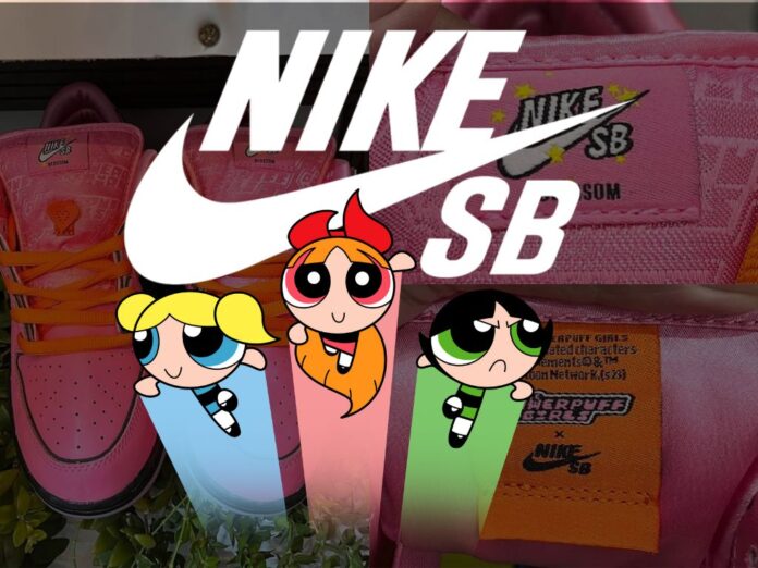 le-superchicche-x-nike-sb