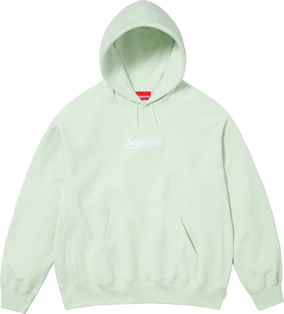 fall-winter2023-box-logo-hooded-sweatshirt-11