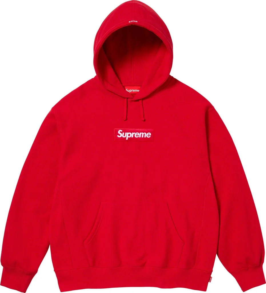 fall-winter2023-box-logo-hooded-sweatshirt-13