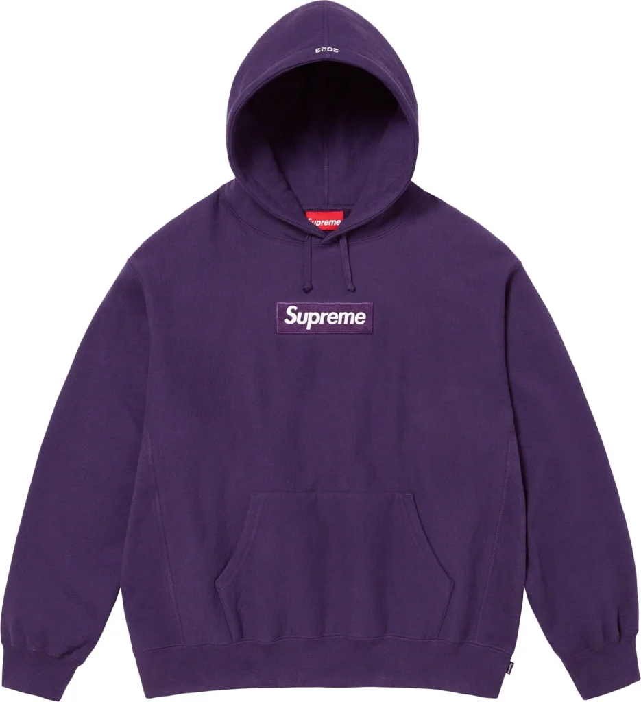 fall-winter2023-box-logo-hooded-sweatshirt-7 (1)